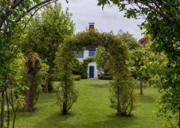 white wooden fence near green trees during daytime