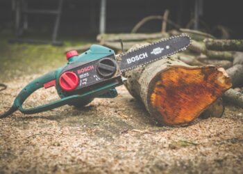 white and orange UNK on brown wooden log
